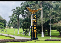 Business courses at knust